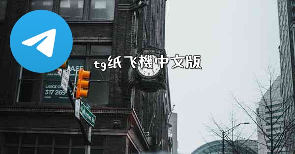 tg纸飞機中文版