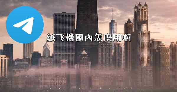 纸飞機國內怎麼用啊