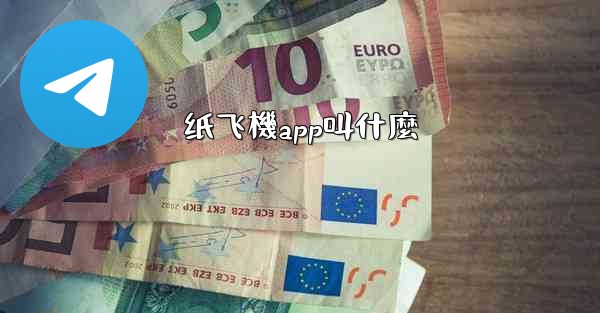 纸飞機app叫什麼
