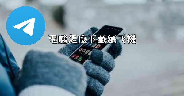 電腦怎麼下載纸飞機