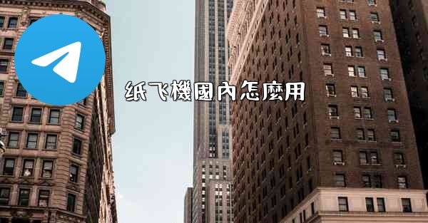 纸飞機國內怎麼用