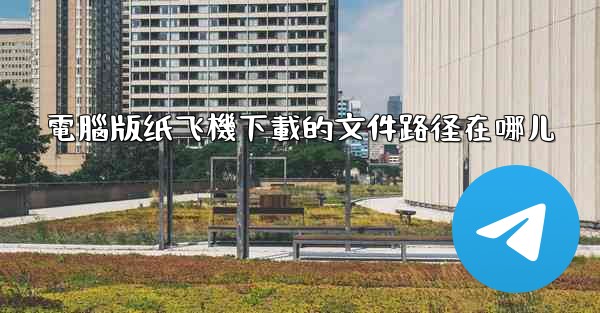 電腦版纸飞機下載的文件路径在哪儿