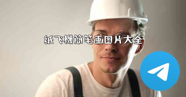 纸飞機簡笔画图片大全