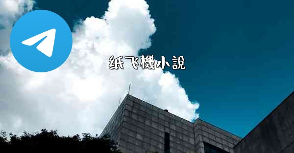 纸飞機小說