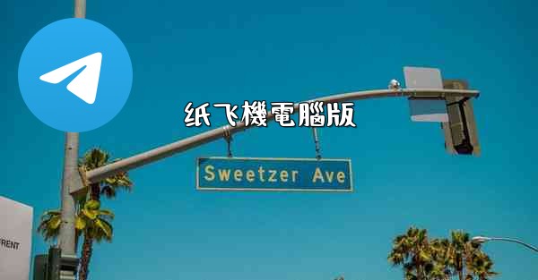 纸飞機電腦版
