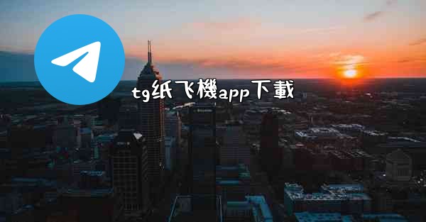 tg纸飞機app下載