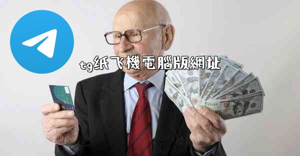 tg纸飞機電腦版網址