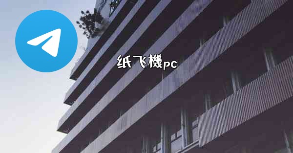 纸飞機pc