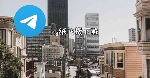 tg纸飞機下載