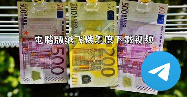 電腦版纸飞機怎麼下載视频