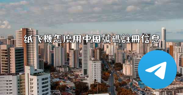 纸飞機怎麼用中國號碼註冊信息