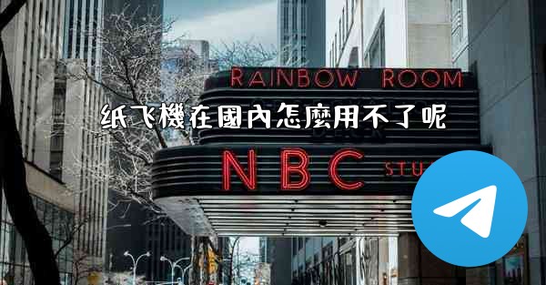 纸飞機在國內怎麼用不了呢