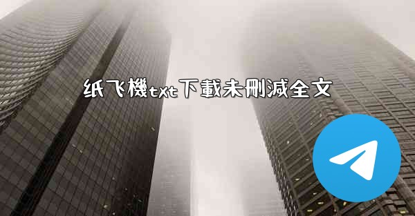 纸飞機txt下載未刪減全文