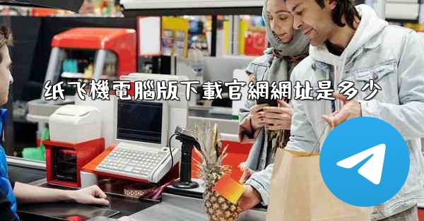 纸飞機電腦版下載官網網址是多少