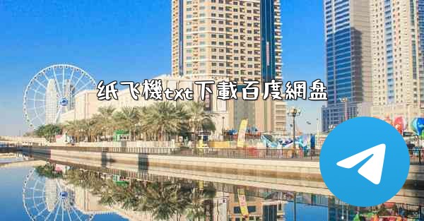 纸飞機txt下載百度網盘