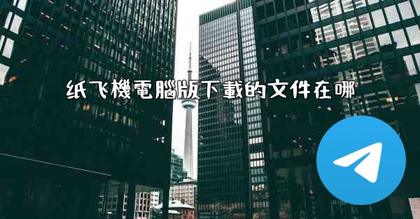 纸飞機電腦版下載的文件在哪