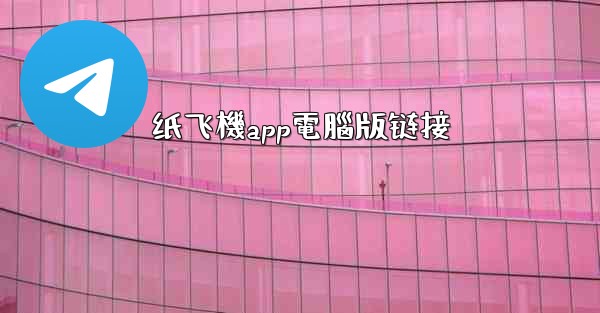 纸飞機app電腦版链接